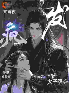 雷雨夜怀崽嫁前夫，太子发疯强夺