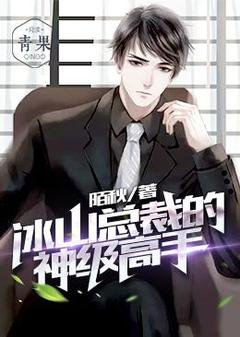 冰山总裁的神级高手