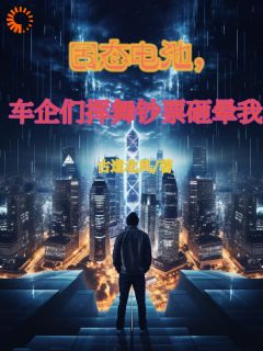 固态电池，车企们挥舞钞票砸晕我