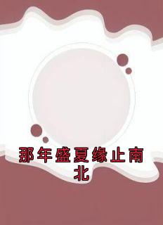 那年盛夏缘止南北