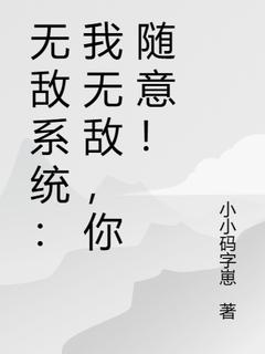 无敌系统：我无敌，你随意！