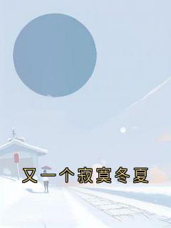 又一个寂寞冬夏