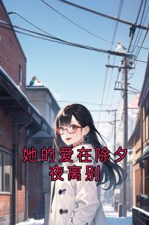 她的爱在除夕夜离别