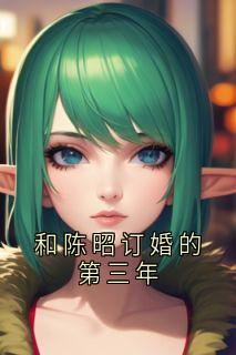 和陈昭订婚的第三年