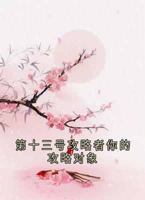 第十三号攻略者你的攻略对象