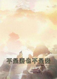 不是妻也不是妾