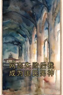 网恋失败后我成为国民男神