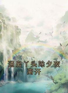 通房丫头除夕夜离开