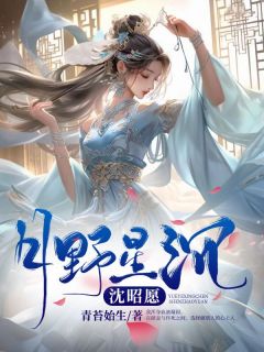 月野星沉沈昭愿