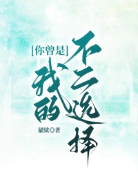 你曾是我的不二选择