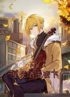 星光洒于夜下