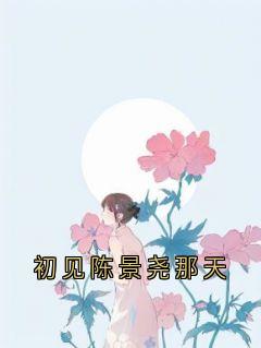 初见陈景尧那天