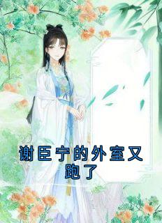 谢臣宁的外室又跑了