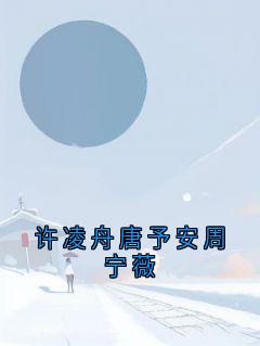 许凌舟唐予安周宁薇