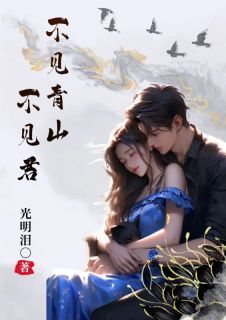 不见青山不见君