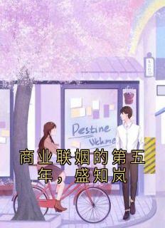 商业联姻的第五年，盛知岚