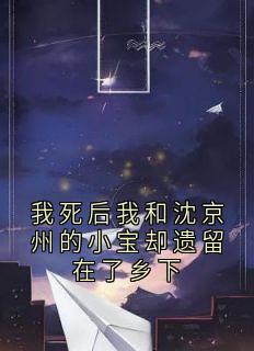 我死后我和沈京州的小宝却遗留在了乡下