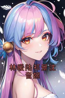 林暖陆祁景沈音婉