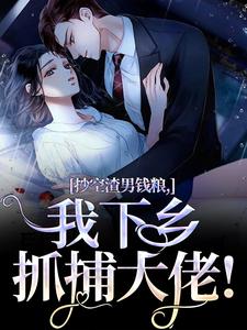 抄空渣男钱粮，我下乡抓捕大佬！