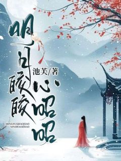 明月皎皎心昭昭