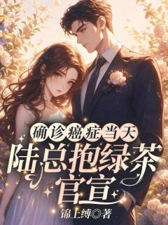 蝴蝶梦闵暖季司凉