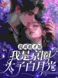提离婚才知，我是京圈太子白月光