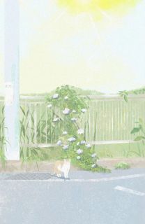 交织在梦与现实的信笺