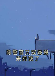 陈警官又双叒叕来抓我了