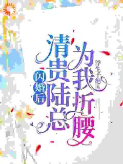 闪婚后，清贵陆总为我折腰
