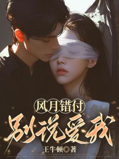 风月错付，别说爱我