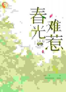 再重逢，傲娇总裁直呼他错了！