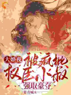 大婚夜，被疯批权臣小叔强取豪夺
