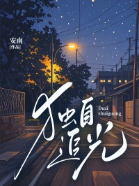 独自追光