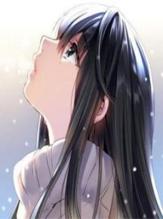 鱼目混珠终成空