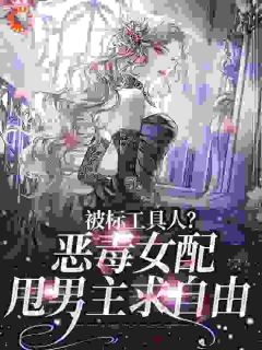 商界传奇宋以宁