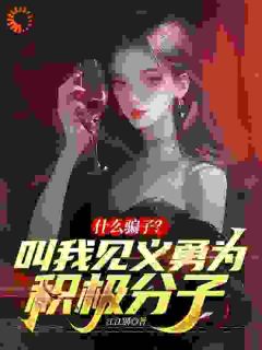 什么骗子？叫我见义勇为积极分子