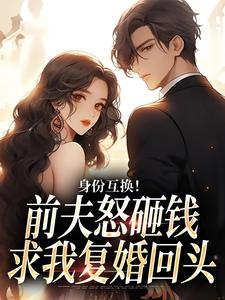身份互换！前夫怒砸钱求我复婚回头