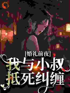 婚礼前夜，我与小叔抵死纠缠