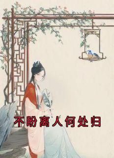 不盼离人何处归