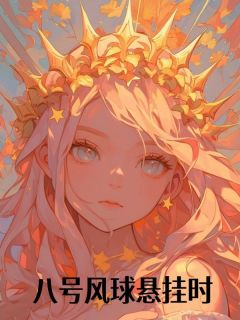 八号风球悬挂时