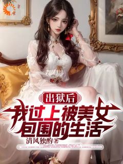 革职出狱后，我在黑暗中执行正义