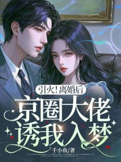 引火！离婚后京圈大佬诱我入梦