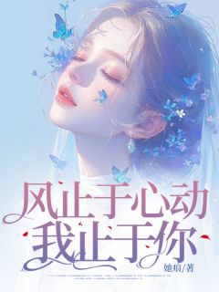 风止于心动我止于你