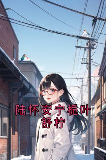 陆怀安宁栀叶舒柠