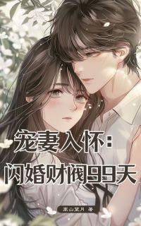 宠妻入怀：闪婚财阀99天