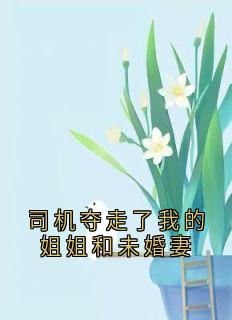 司机夺走了我的姐姐和未婚妻