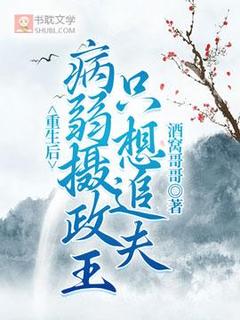 重生后病弱摄政王只想追夫