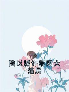 陆以城许乐阳大结局