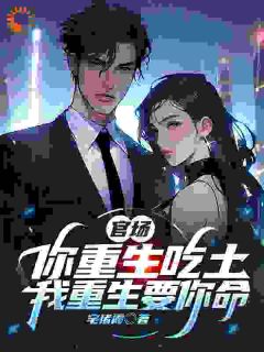 重生官场：仇敌夺机缘，我反手逆袭