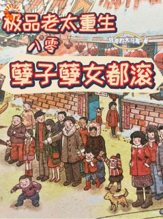 极品老太重生八零，孽子孽女都滚